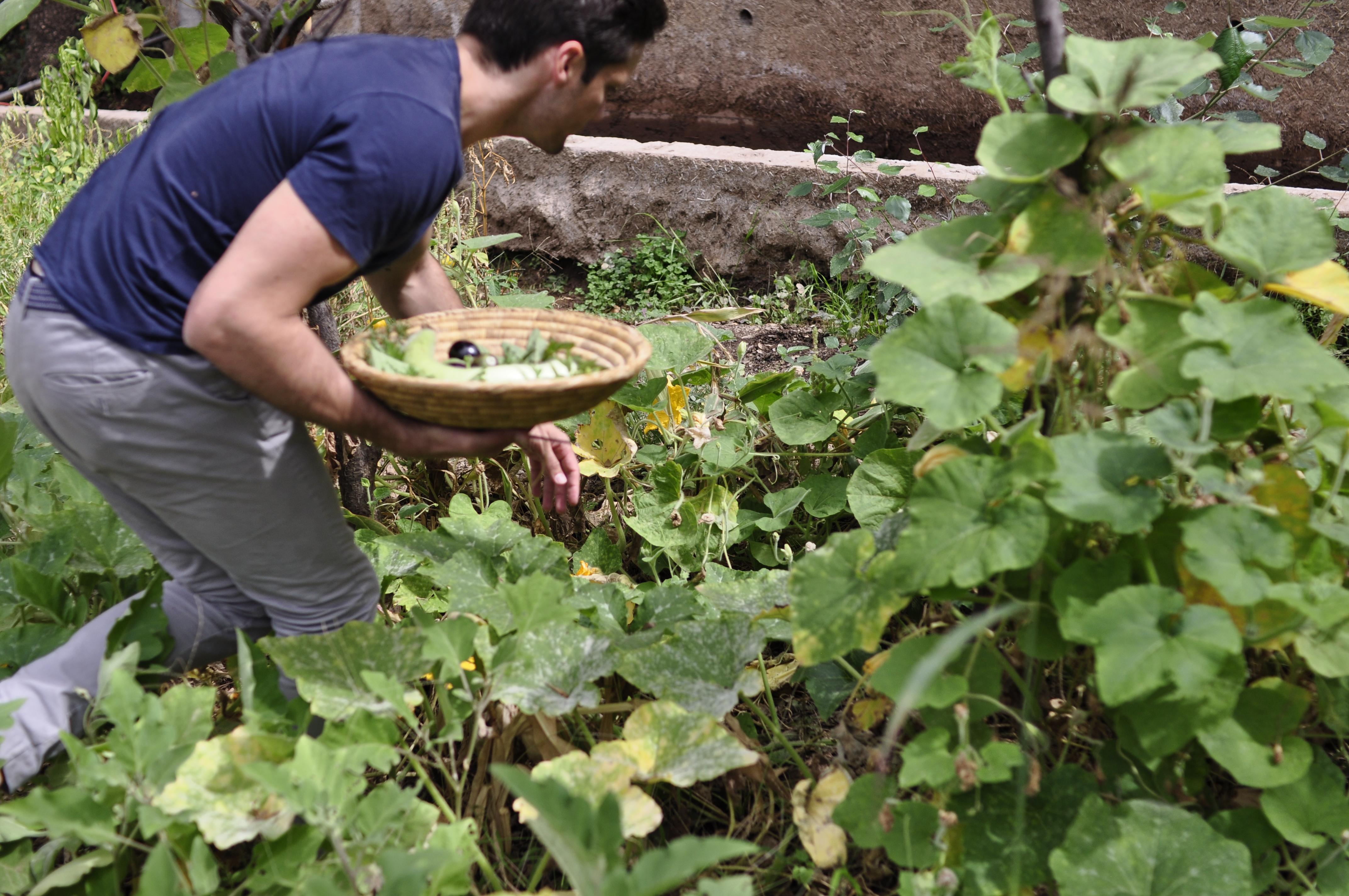 Dar Ikalimo Ourika Otel Aghbalou Dış mekan fotoğraf